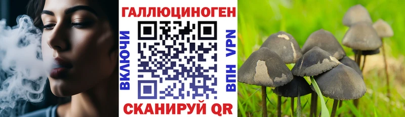 Галлюциногенные грибы Psilocybine cubensis  купить наркоту  ОМГ ОМГ зеркало  Собинка 